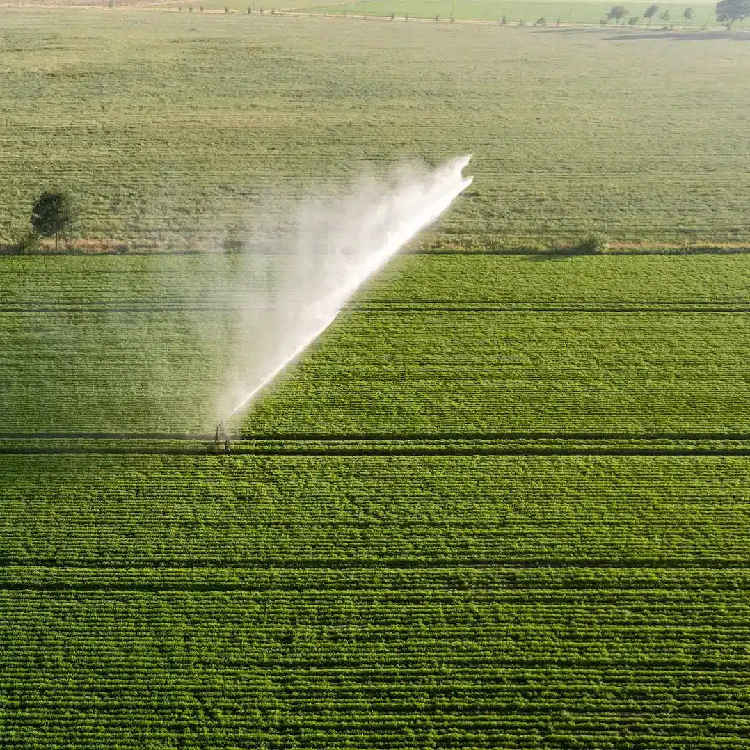 Circular irrigation spraying over a green crop