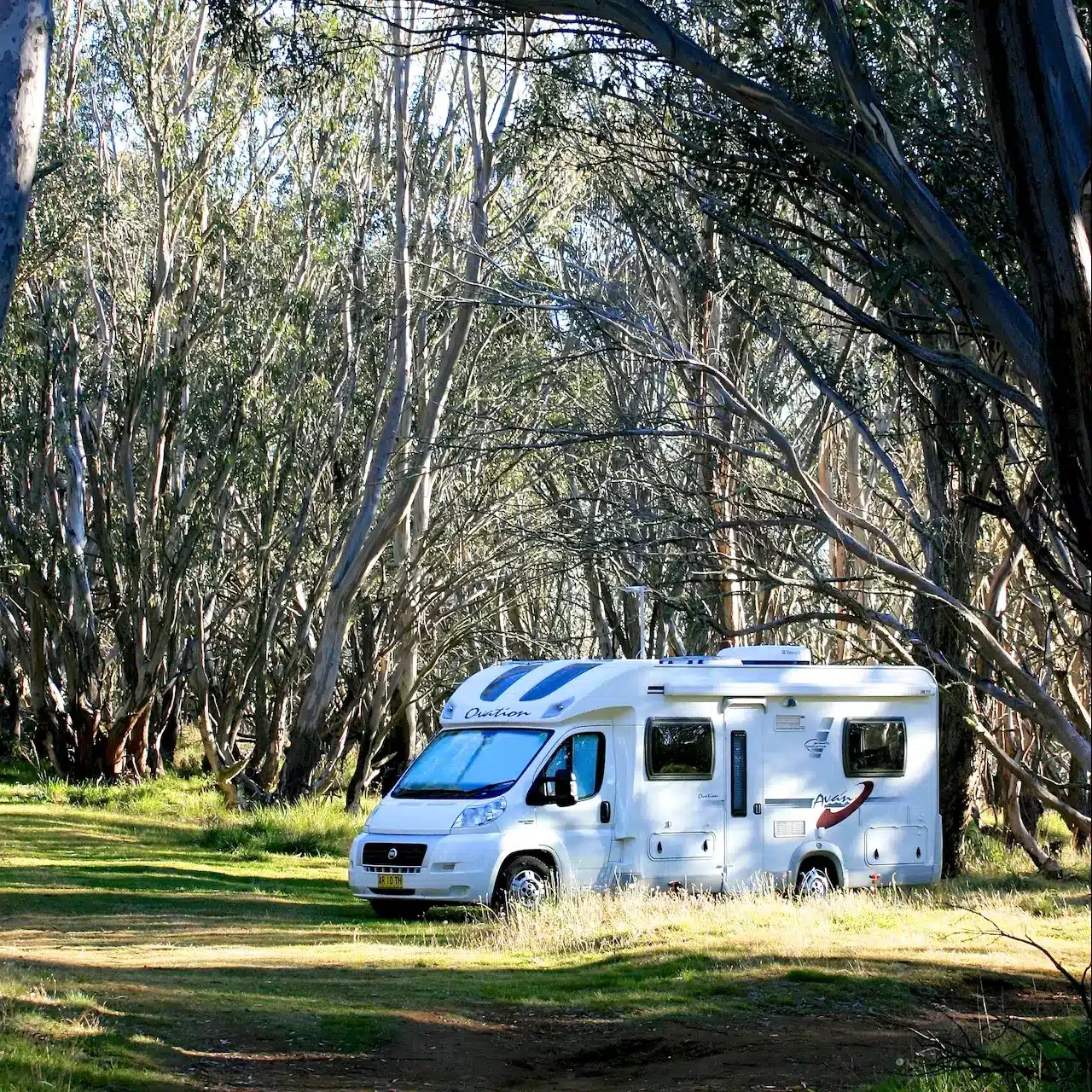 A modern RV parked at a grassy camp ground with tall trees surrounding it