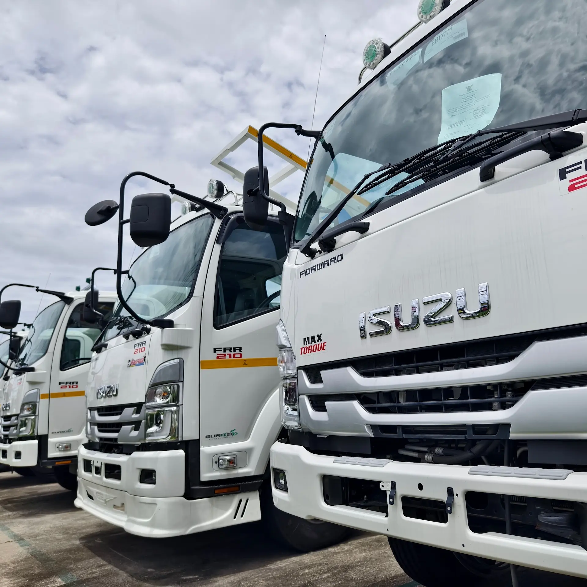 A row of new white Isuzu trucks parked in a row at a dealership.
