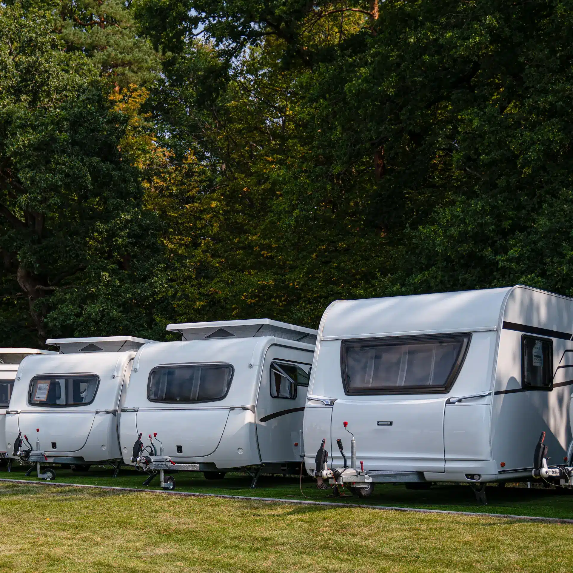 A row of new caravans lined up at a caravan dealership holding yard.