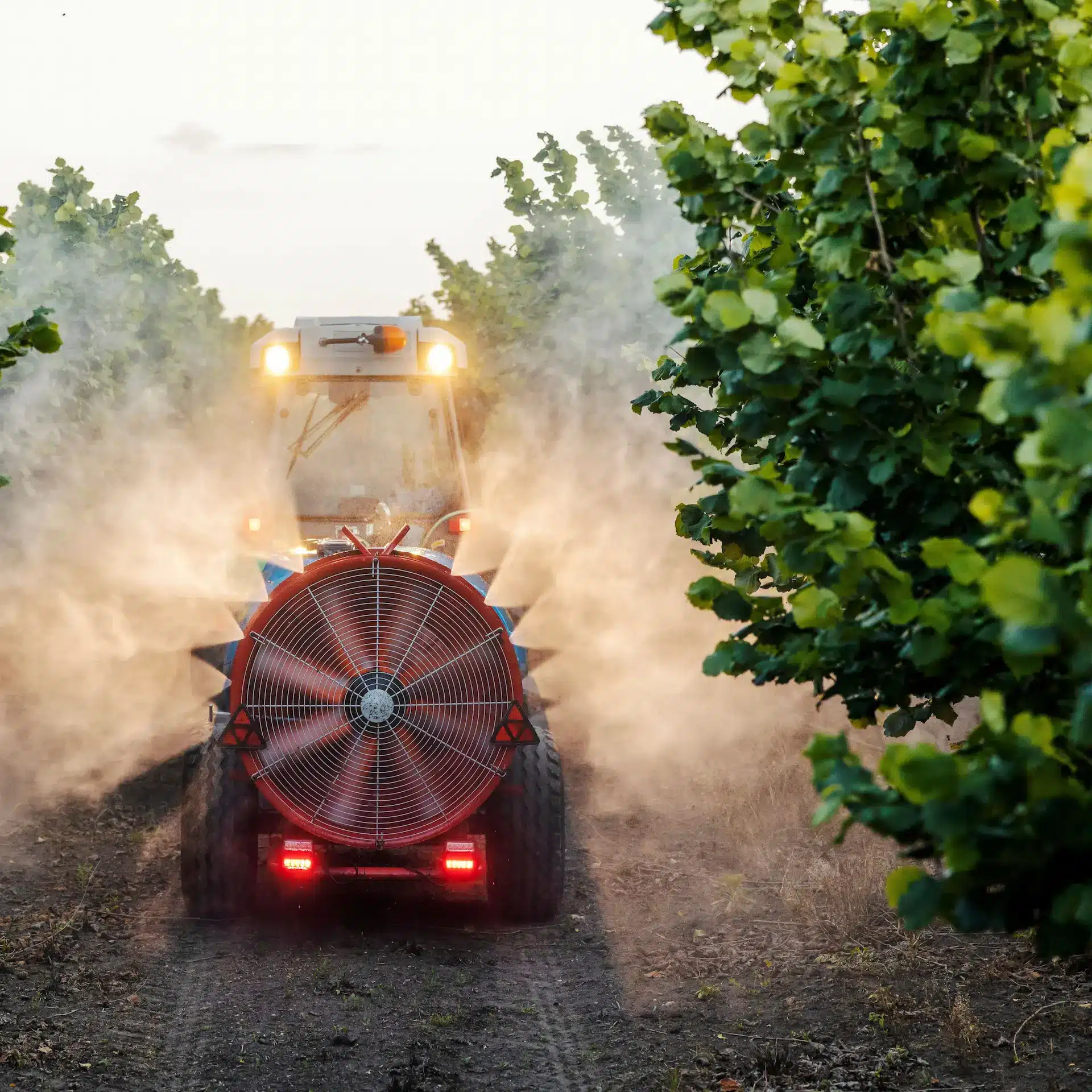 A spraying system on the back of a tractor sprays the fruit trees in an orchard.